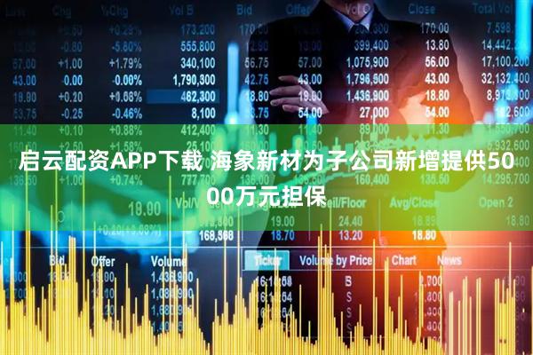 启云配资APP下载 海象新材为子公司新增提供5000万元担保
