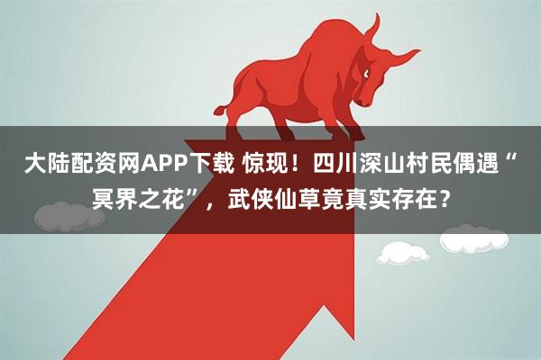 大陆配资网APP下载 惊现！四川深山村民偶遇“冥界之花”，武侠仙草竟真实存在？