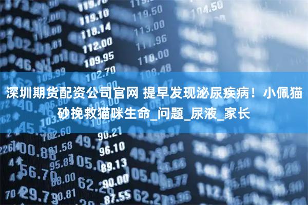 深圳期货配资公司官网 提早发现泌尿疾病！小佩猫砂挽救猫咪生命_问题_尿液_家长