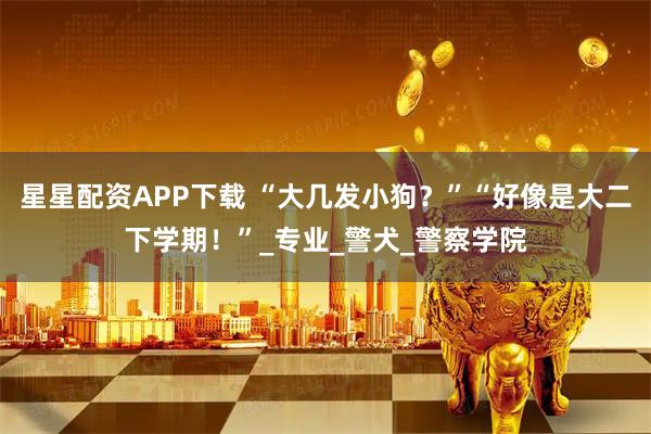 星星配资APP下载 “大几发小狗？”“好像是大二下学期！”_专业_警犬_警察学院