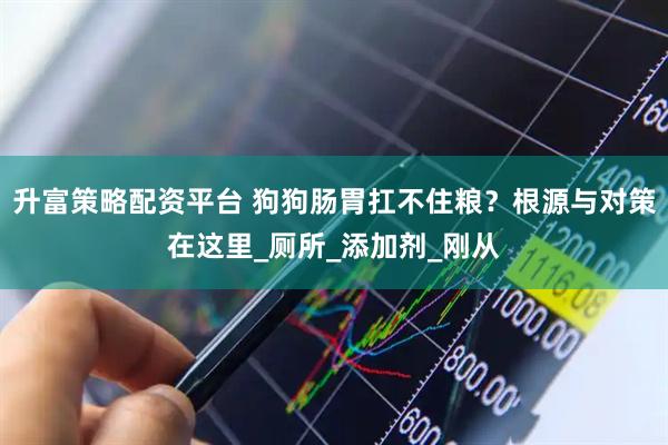 升富策略配资平台 狗狗肠胃扛不住粮？根源与对策在这里_厕所_添加剂_刚从