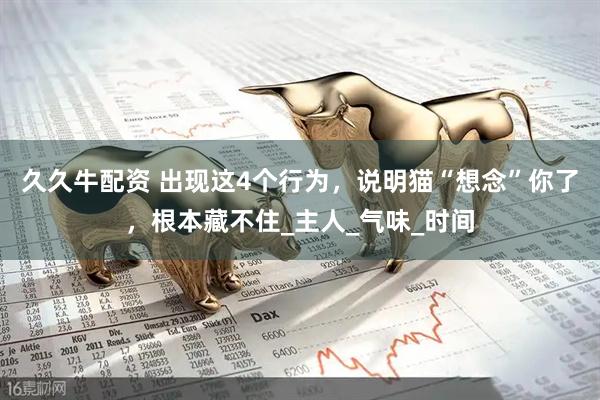 久久牛配资 出现这4个行为，说明猫“想念”你了，根本藏不住_主人_气味_时间