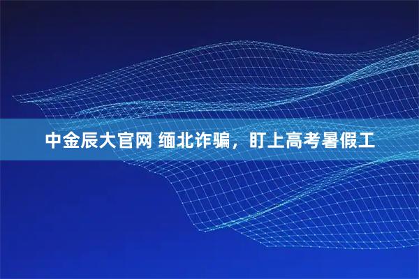 中金辰大官网 缅北诈骗，盯上高考暑假工