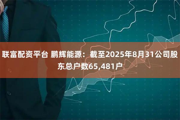联富配资平台 鹏辉能源：截至2025年8月31公司股东总户数65,481户
